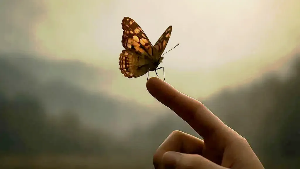 La Vie en face